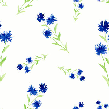 Floral pattern of blue cornflowers on a white background. Flowers are painted in watercolor. Simple and delicate pattern.