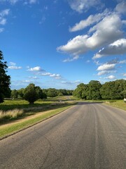 Richmond park forrest and main road