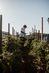 Photos in an organic garden with your farmer.