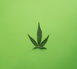 green cannabis leaf on green background