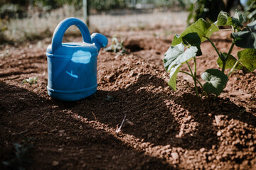 Photos in an organic garden with your farmer.