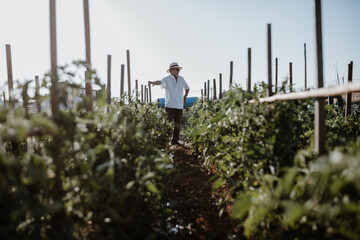 Photos in an organic garden with your farmer.