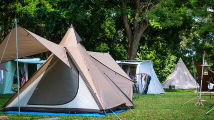 Group of tents on camping area in the forest - obrazy, fototapety, plakaty