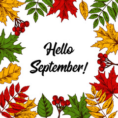 Hand drawn autumn square banner with hand drawn leaves and berries isolated on white. Space for text. Vector illustration in sketch style. Hello September lettering.