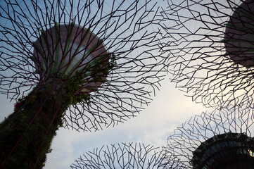 Obraz premium Arbres artificielles dans les Gardens by the bay, Singapour