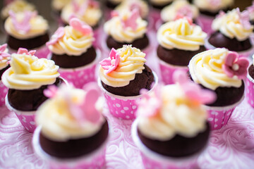 cupcakes with icing