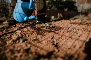 Photos in an organic garden with your farmer.