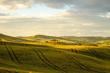 sunset over tuscan countyside with golden wheat fields at summer - Tuscany, Italy - Powered by Adobe