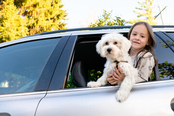 A little girl and a puppy in the car