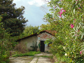 Fototapeta na wymiar Casa Abandonada Arbustos Plantas Arboles Cielo Lugar Solitario Floral 