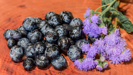 Blueberries on a wooden background. Close-up
