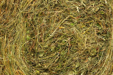 The haystack in front of the image. Background.