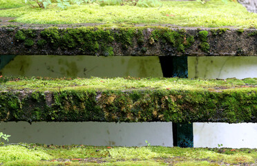 Old concrete stairs overgrown with grass in Nida Lithuania