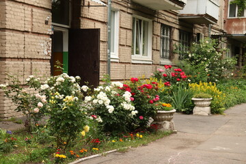 Fototapeta na wymiar flowers near the open door of an apartment building