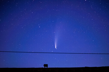 NEOWISE Comet, Kometa