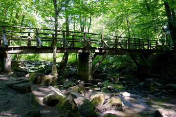 Eine Holzbrücke in der Holzbachschlucht bei Seck in Rheinland Pfalz 