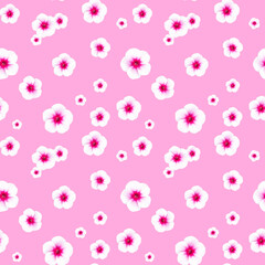 Seamless pattern with bright white-pink phlox flowers on pink background