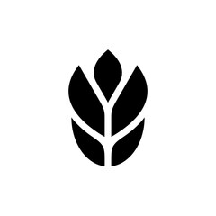 Wheat logo. Icon design. Template elements