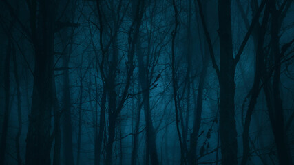 Dark blue scary forest. Moody image. Naked trees