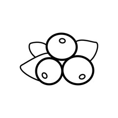 Currant line icon isolated on a white background