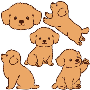 Outlined Chihuahua Poodle Mix puppy illustrations set