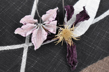 Czarny materiał z kwiatami w zbliżeniu. © Krzysztof Głowacki