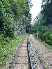 Fototapeta premium GUAM gorge, forest, rivers
