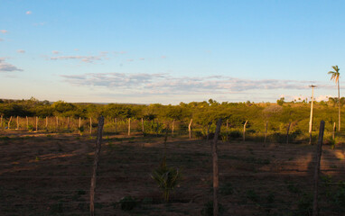 Natural landscape, the encounter of heaven with the woods