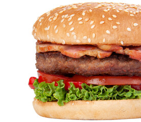Tasty american grill burger isolated on the white