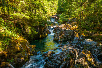 Fototapeta na wymiar Opal Creek in the Opal Creek Wilderness. It is a wilderness area located in the Willamette National Forest in Oregon.