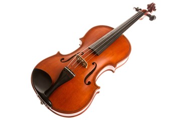 Naklejka na ściany i meble Violin.