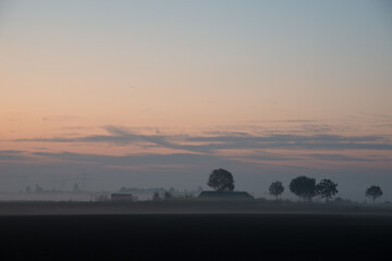 Fototapeta na wymiar Morgennebel über Feld im Flachland