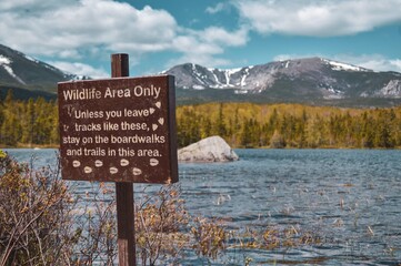 Wildlife Area Only