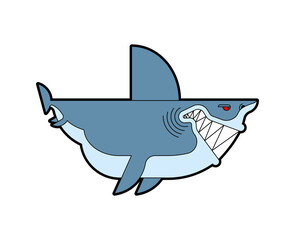 Shark cartoon isolated. Sea animal predator. Vector illustration