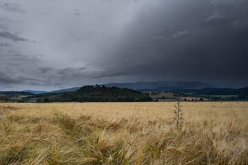 stormy clouds over the field