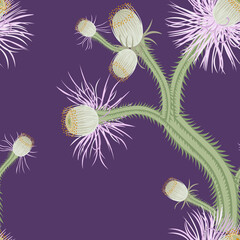 Vector seamless pattern with cactus flowers. Floral tropical background with succulent desert plants, cacti on purple backdrop. Hand drawn botanical illustration. Repeat design for print, wallpaper