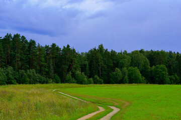 road in the forest