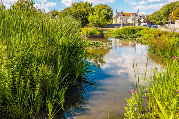 Obraz premium A view of the duck pond in the town of Rottingdean, Sussex, UK in summer
