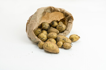 Kartoffeln, selbst angebaut, frische Ernte, in einer Papiertüte, rollen aus der Tüte