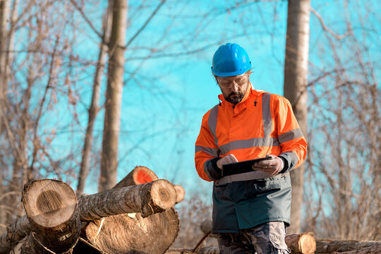 Forestry technician using digital tablet computer in forest