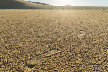 Traces in the sand of Chad desert