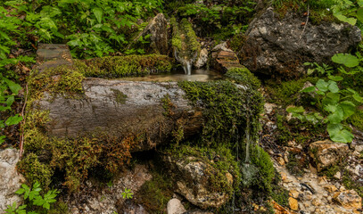 Seufzerquelle spring of small rivulet under Mittagskogel hill