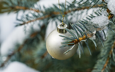 Christmas tree toy silver ball hanging under the snow on fir branch. Real winter in the garden....