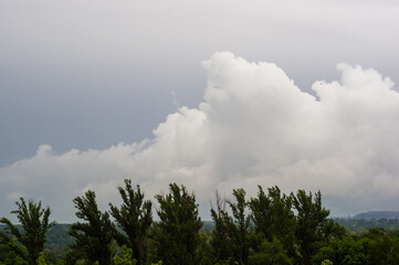 Spring city landscape - green trees and sky with clouds