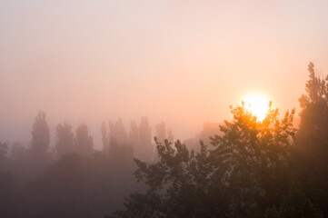 Spring cityscape - morning fog, green trees and sky with clouds