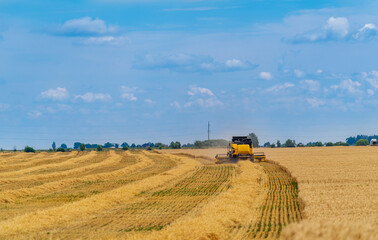 Fototapeta premium Agriculture machine harvesting crop in fields, Special technic in action.