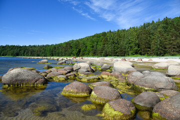 Fototapeta na wymiar The rocky shore of the Gulf of Finland