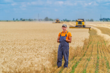 Farmer in wheat field with working combine in the background. Blue sky above.