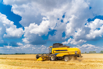 Obraz premium Yellow grain harvesting combine in a sunny day. Yellow field with grain. Agricultural technic works in field. Closeup.