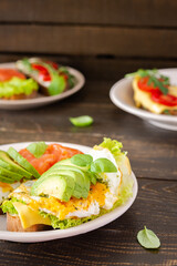 Different delicious sandwiches for breakfast, bread with cheese, avocado and trout, sandwich with egg, tomato and rucola, parsley with basil